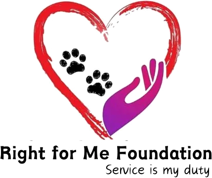 Right Support Partner